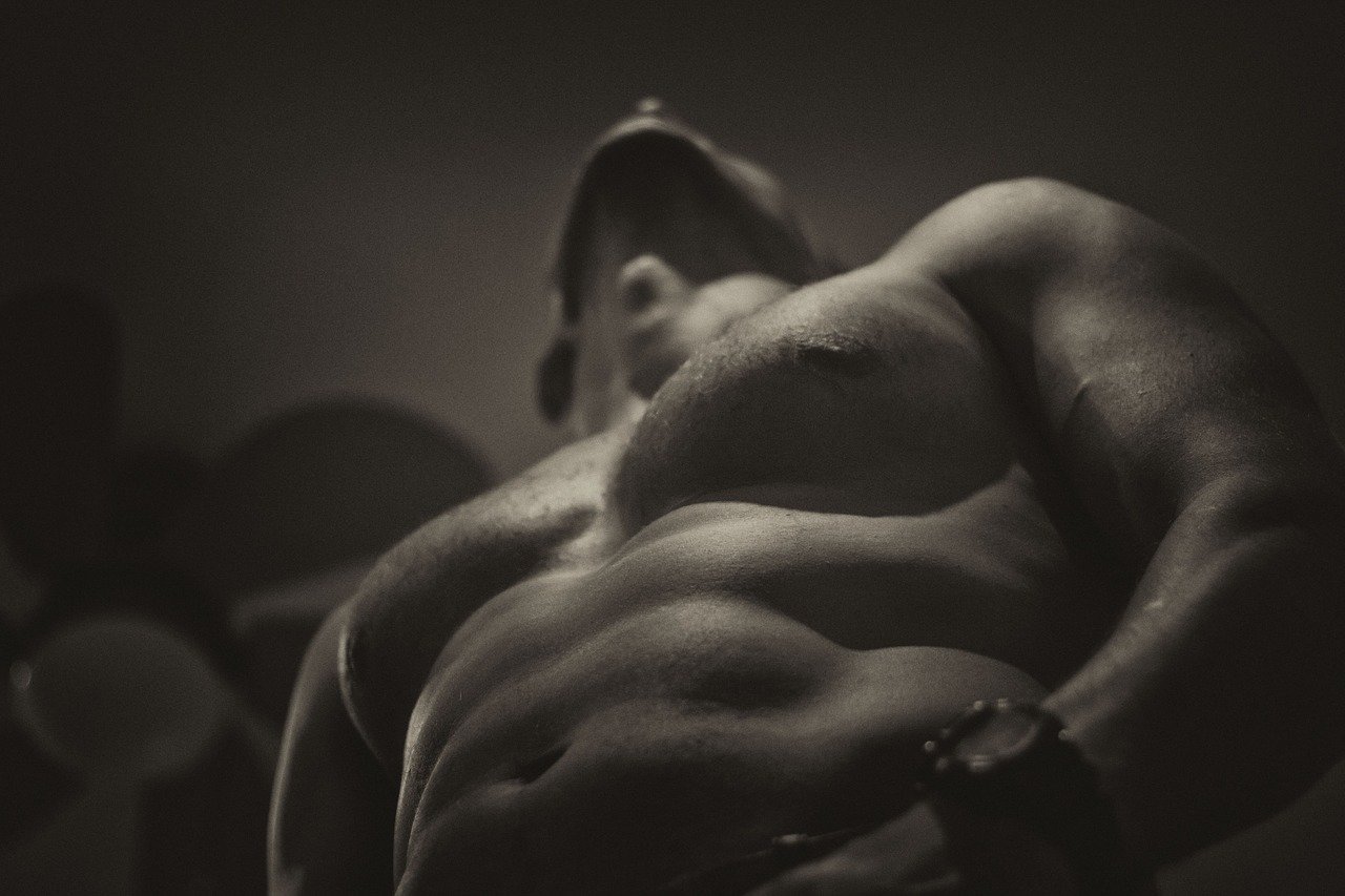 Popular Muscle Building Foods